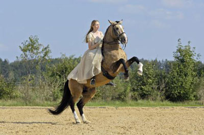 做梦梦见女人骑马怎么回事有什么征兆